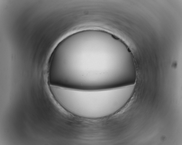 X0000103161526200808221140