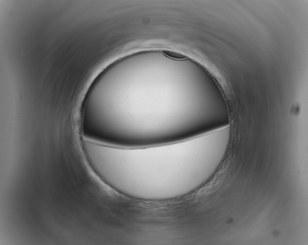 X0000103161527200808221140