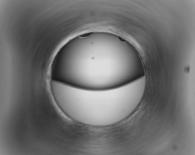 X0000103161528200808221140