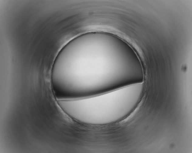 X0000103161529200808221140