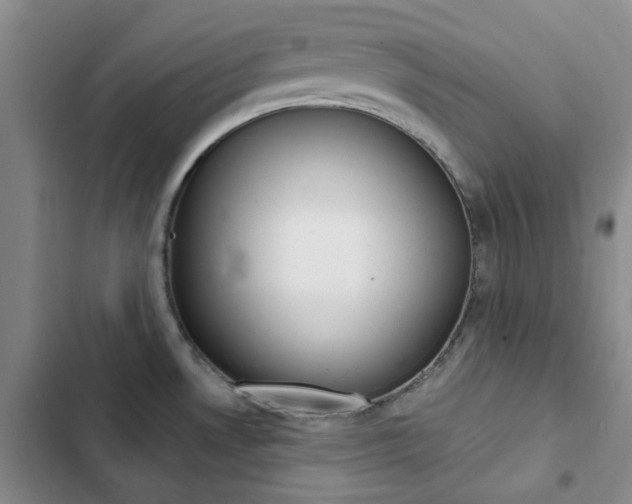 X0000103161530200808221140