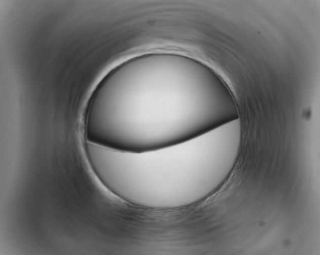 X0000103161531200808221140