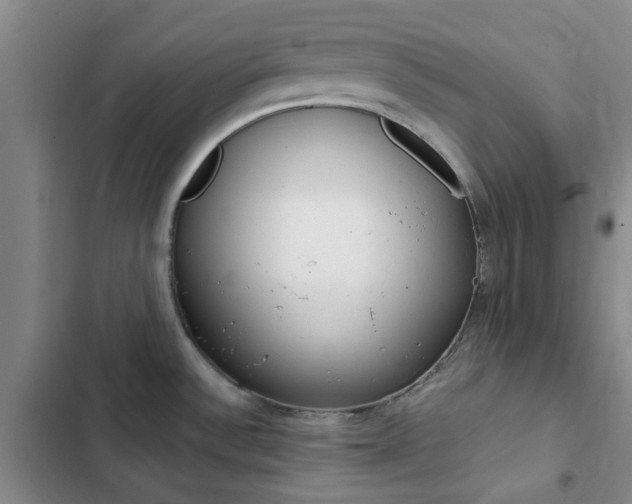 X0000103161532200808221140