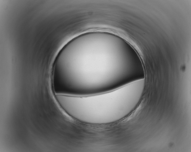 X0000103161533200808221140