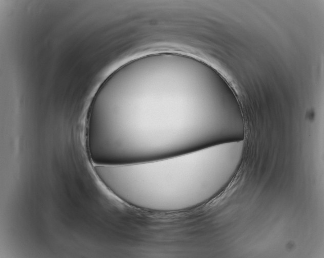 X0000103161535200808221140