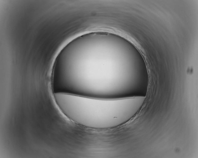 X0000103161536200808221140