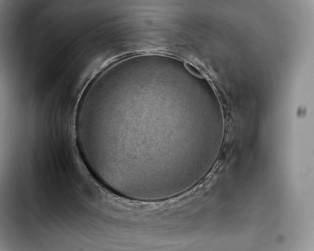 X0000103160002200808221405