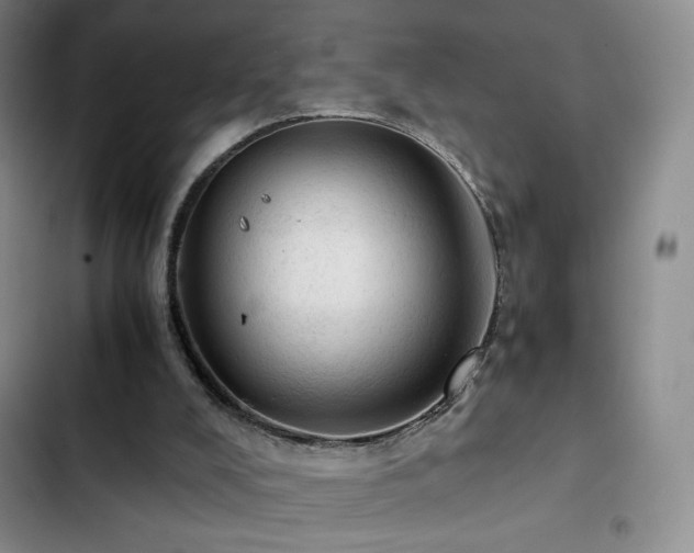 X0000103160008200808221404