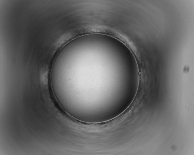 X0000103160010200808221404