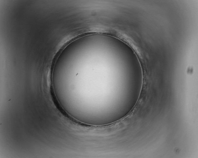 X0000103160011200808221404