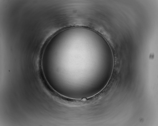 X0000103160012200808221404