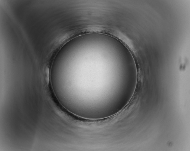 X0000103160013200808221404