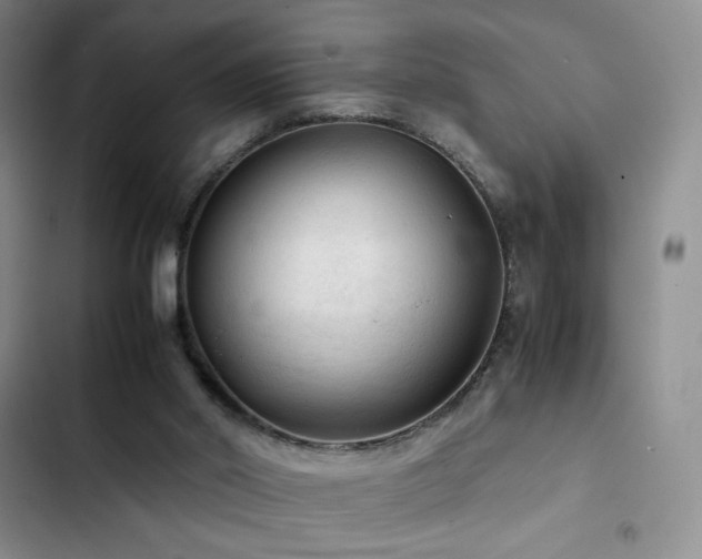 X0000103160014200808221404