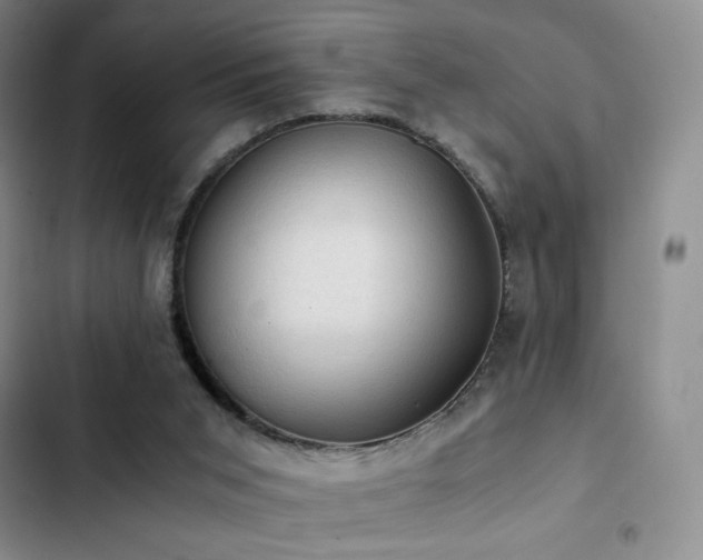 X0000103160015200808221404