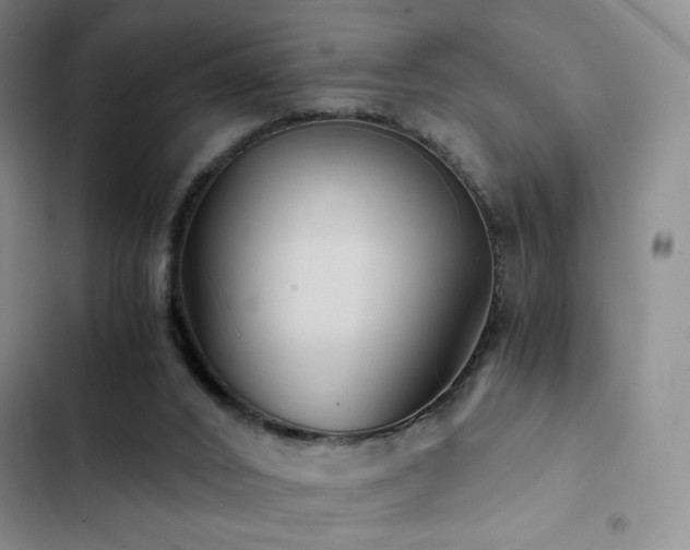 X0000103160016200808221404