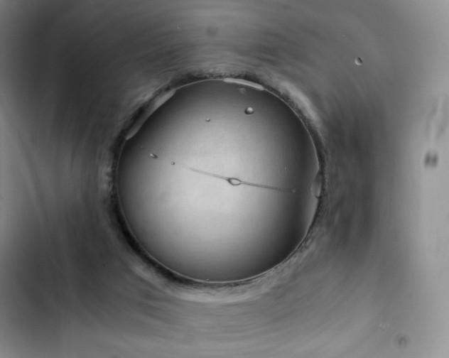X0000103160017200808221404