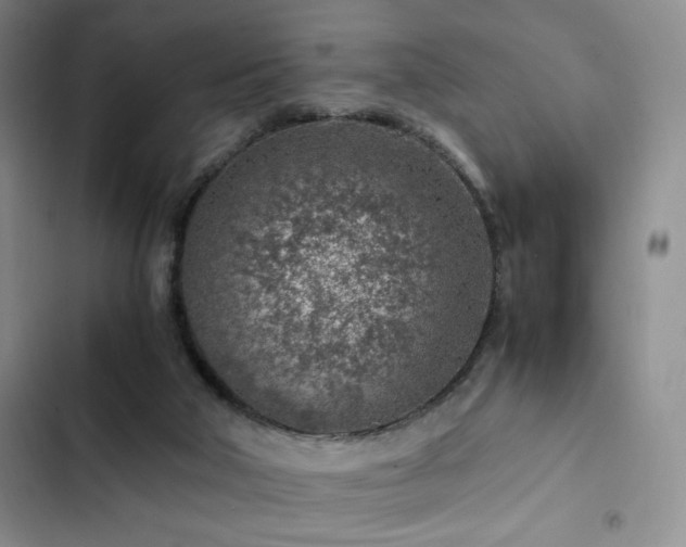 X0000103160018200808221404