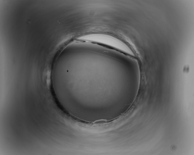 X0000103160019200808221404
