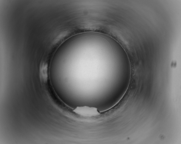 X0000103160020200808221404