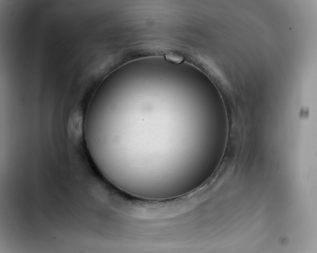 X0000103160021200808221404