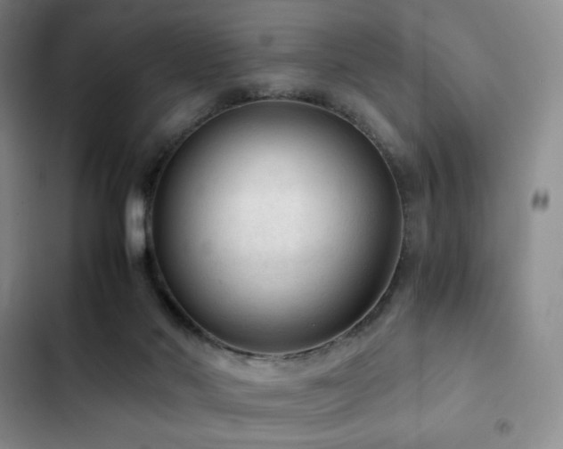 X0000103160022200808221404