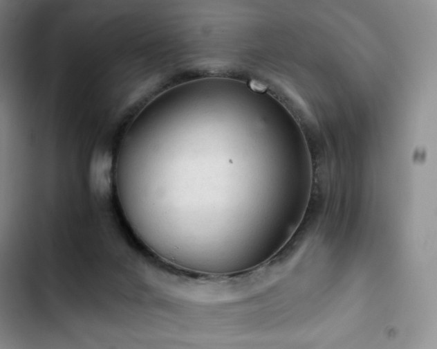 X0000103160024200808221404