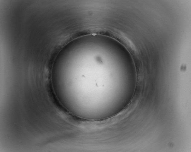 X0000103160025200808221404