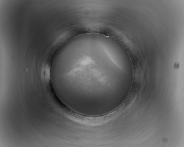 X0000103160027200808221404