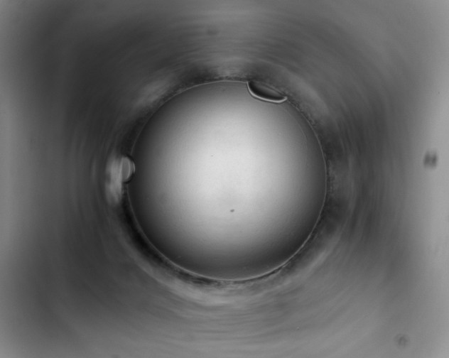 X0000103160028200808221404