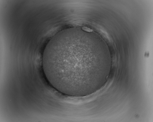 X0000103160029200808221404