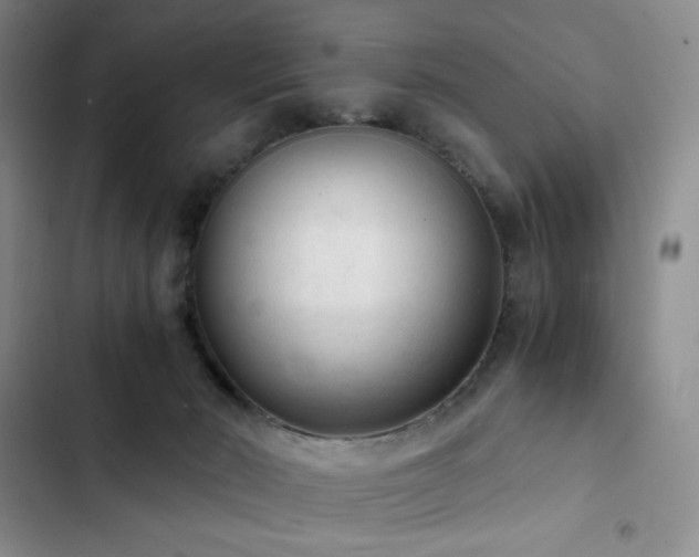 X0000103160030200808221404
