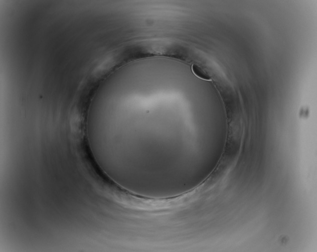 X0000103160031200808221404