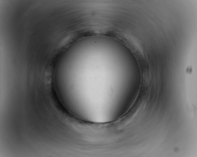 X0000103160032200808221404