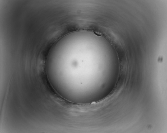 X0000103160033200808221404