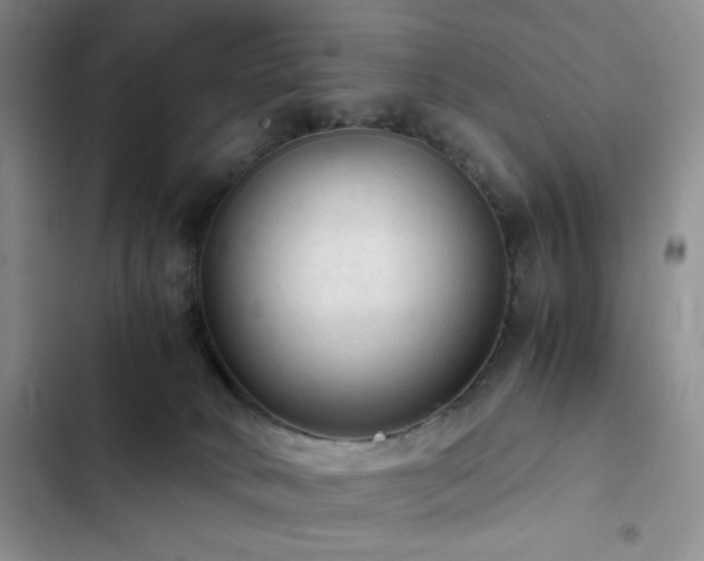 X0000103160034200808221404