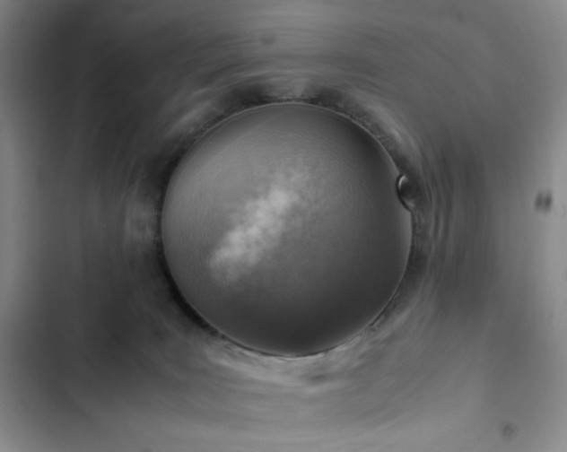 X0000103160035200808221404