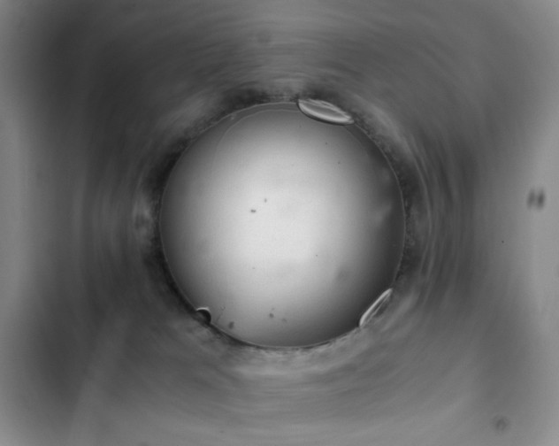 X0000103160037200808221404