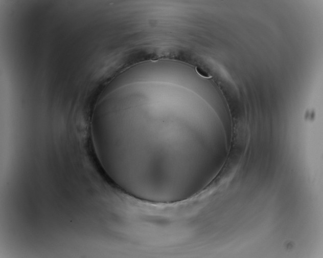 X0000103160039200808221404