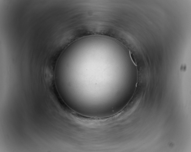 X0000103160040200808221404