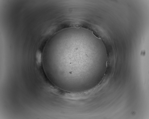 X0000103160041200808221404