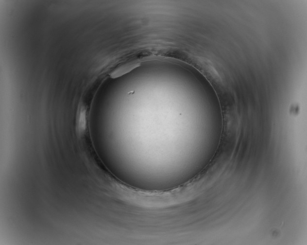 X0000103160042200808221404