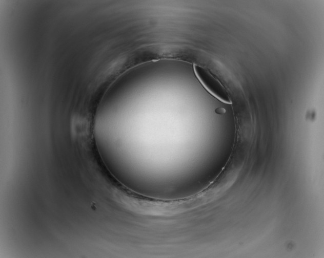 X0000103160044200808221404