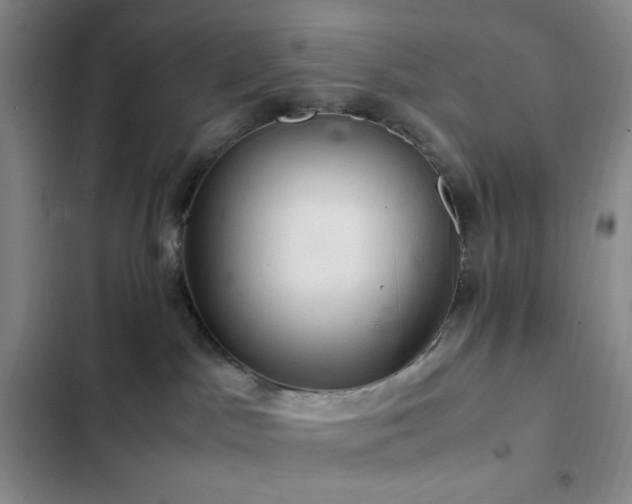 X0000103160045200808221404