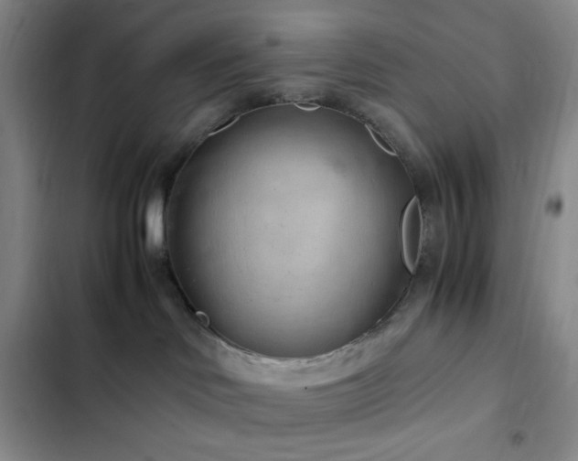X0000103160046200808221404