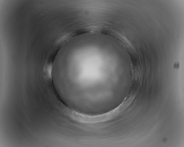 X0000103160047200808221404