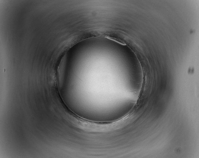 X0000103160048200808221404