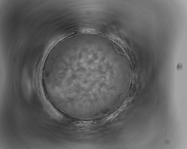 X0000103160049200808221403