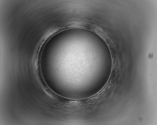 X0000103160050200808221403