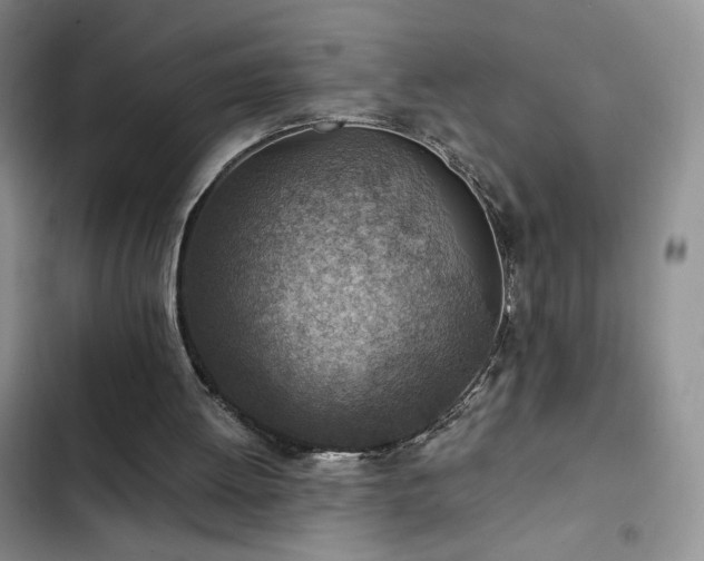 X0000103160052200808221403