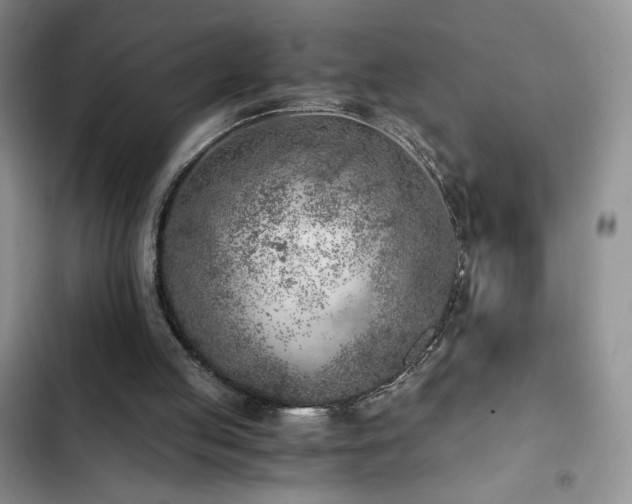 X0000103160053200808221403